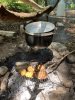 Aktuelles
