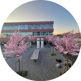 Frühlingskurse SWCH